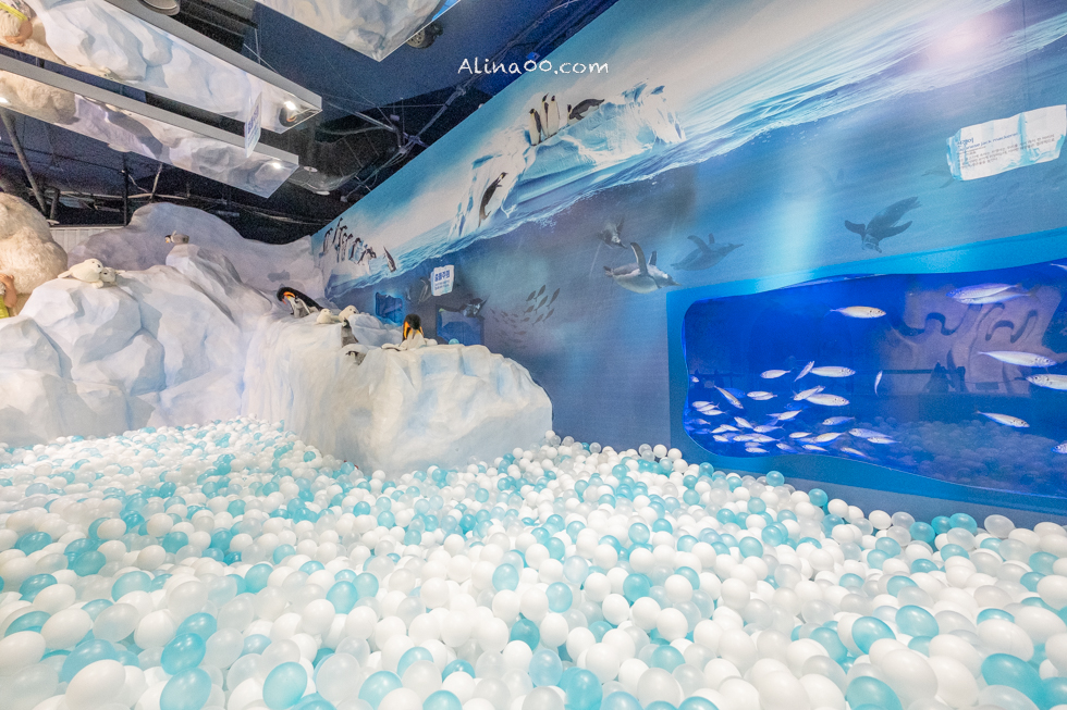 【釜山景點】SEA LIFE 釜山水族館｜海雲台旁的室內海底世界 @Alina 愛琳娜
