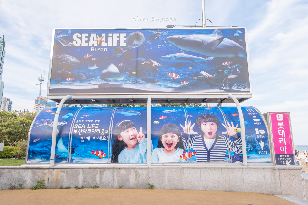 【釜山景點】SEA LIFE 釜山水族館｜海雲台旁的室內海底世界 @Alina 愛琳娜