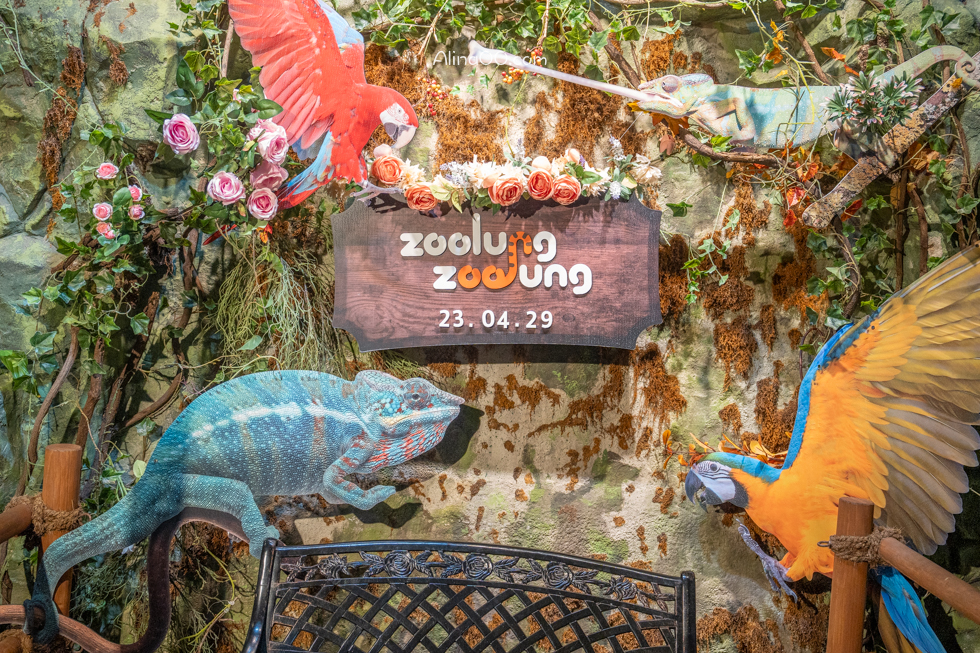 【首爾親子景點】Zoolung Zoolung 首爾室內動物園/兒童互動好玩 @Alina 愛琳娜 【首爾親子景點】Zoolung Zoolung 首爾室內動物園/兒童互動好玩 @Alina 愛琳娜