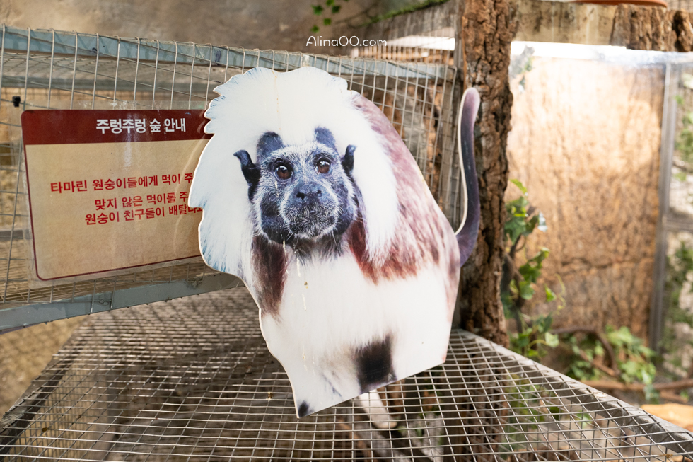 【首爾親子景點】Zoolung Zoolung 首爾室內動物園/兒童互動好玩 @Alina 愛琳娜 【首爾親子景點】Zoolung Zoolung 首爾室內動物園/兒童互動好玩 @Alina 愛琳娜