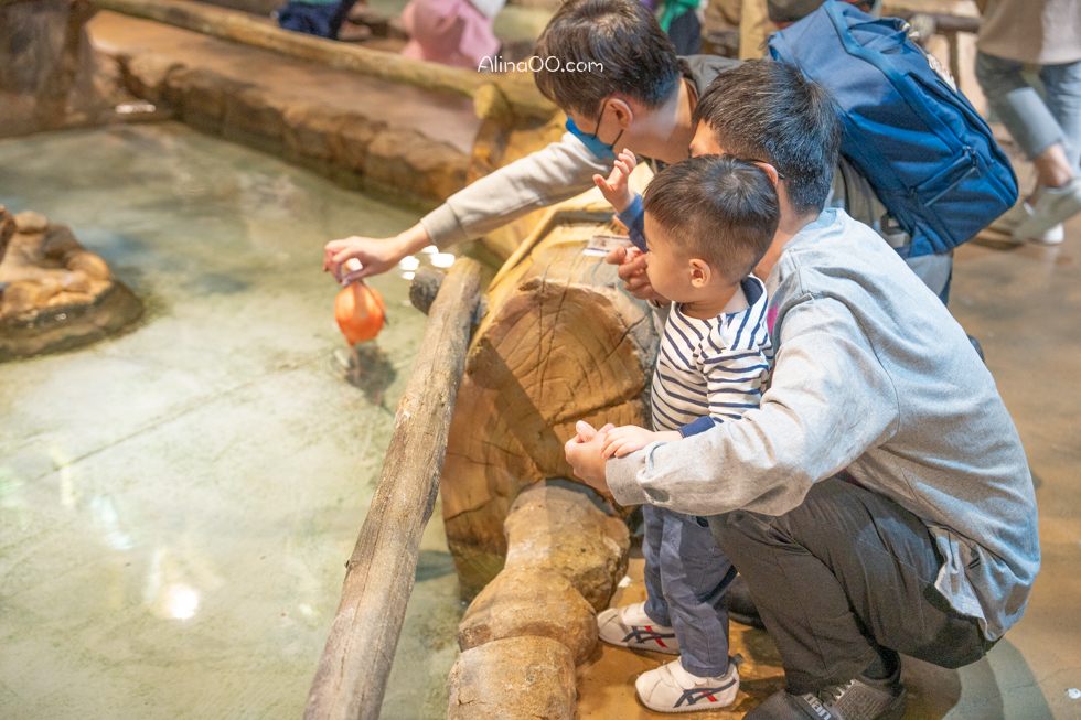 【首爾親子景點】Zoolung Zoolung 首爾室內動物園/兒童互動好玩 @Alina 愛琳娜 【首爾親子景點】Zoolung Zoolung 首爾室內動物園/兒童互動好玩 @Alina 愛琳娜