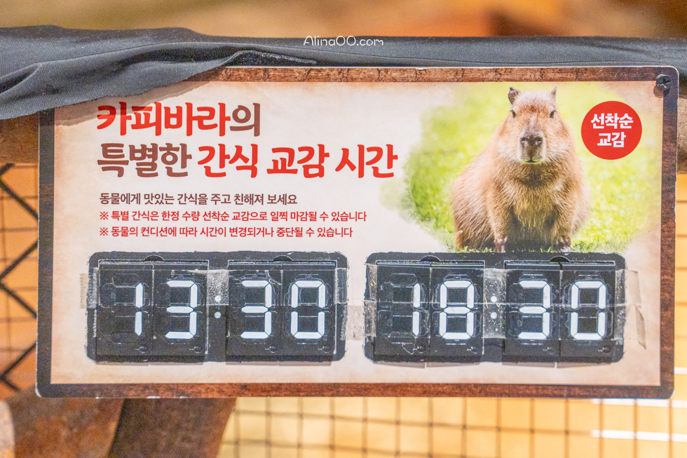【首爾親子景點】Zoolung Zoolung 首爾室內動物園/兒童互動好玩 @Alina 愛琳娜 【首爾親子景點】Zoolung Zoolung 首爾室內動物園/兒童互動好玩 @Alina 愛琳娜