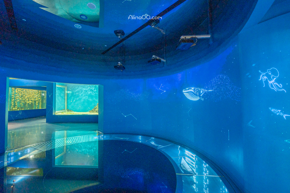【桃園景點】XPARK水族館/13展區導覽/購票優惠/表演時間全攻略 @Alina 愛琳娜