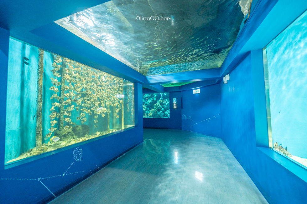 【桃園景點】XPARK水族館/13展區導覽/購票優惠/表演時間全攻略 @Alina 愛琳娜