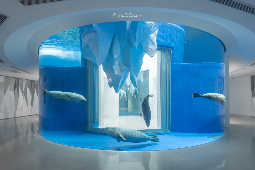 【桃園景點】XPARK水族館/13展區導覽/購票優惠/表演時間全攻略 @Alina 愛琳娜