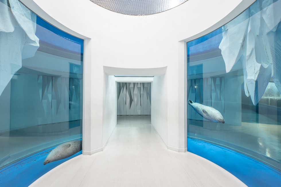 【桃園景點】XPARK水族館/13展區導覽/購票優惠/表演時間全攻略 @Alina 愛琳娜