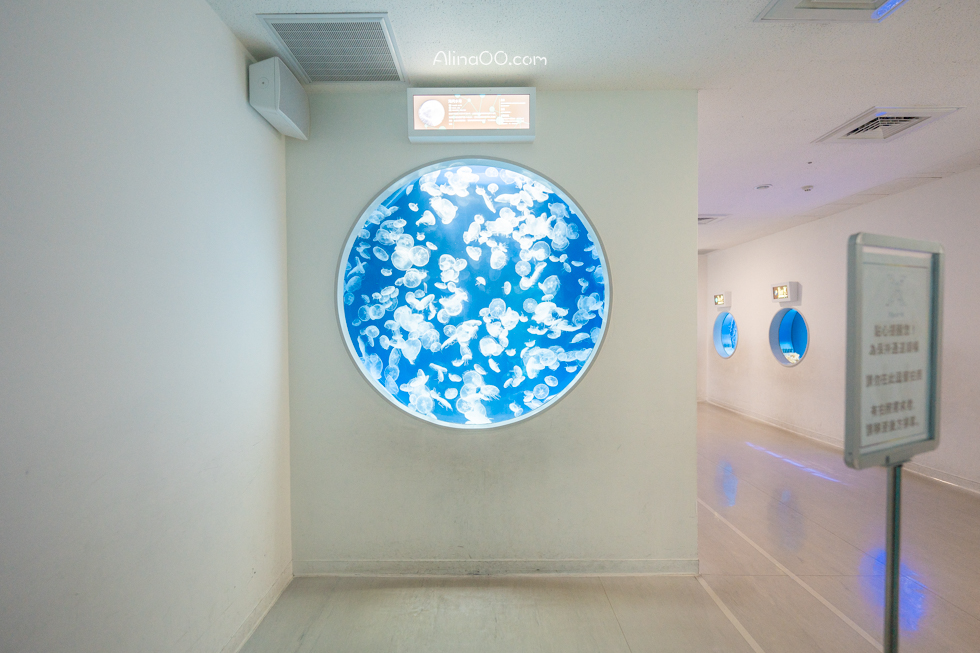 【桃園景點】XPARK水族館/13展區導覽/購票優惠/表演時間全攻略 @Alina 愛琳娜
