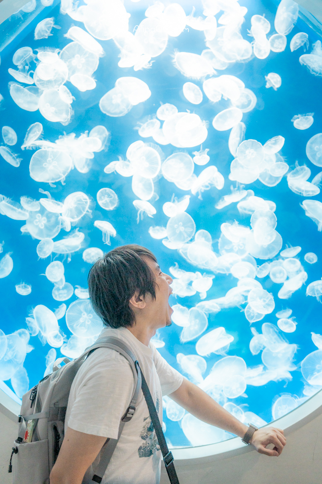【桃園景點】XPARK水族館/13展區導覽/購票優惠/表演時間全攻略 @Alina 愛琳娜