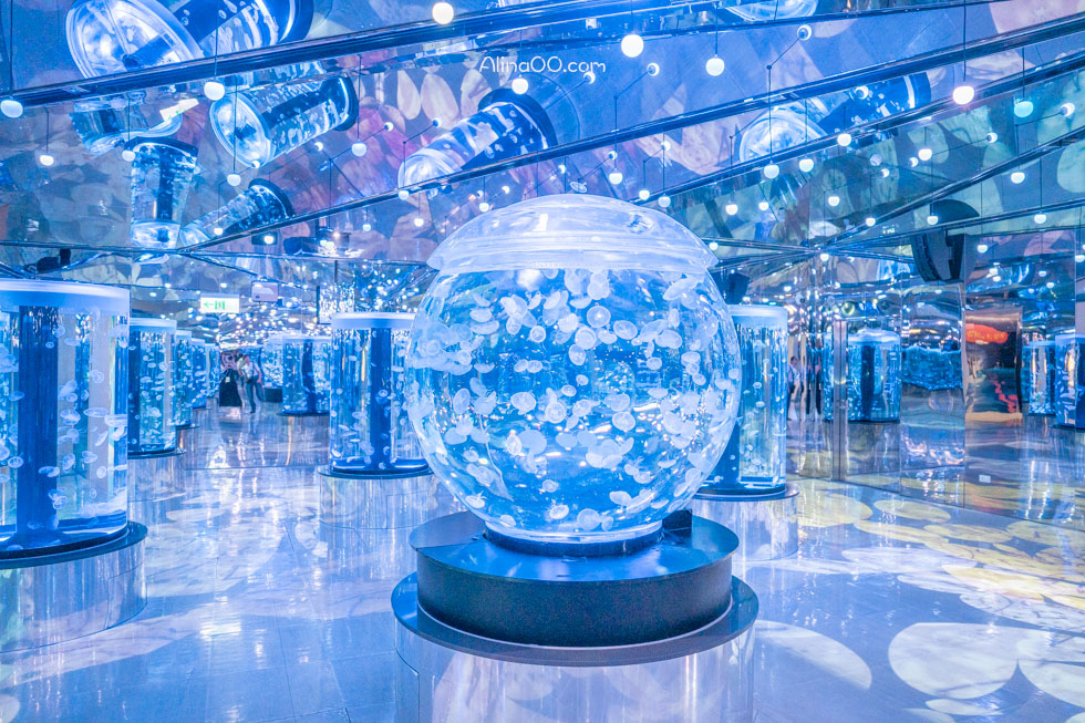 【桃園景點】XPARK水族館/13展區導覽/購票優惠/表演時間全攻略 @Alina 愛琳娜