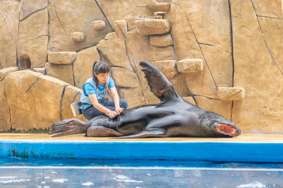 【桃園景點】XPARK水族館/13展區導覽/購票優惠/表演時間全攻略 @Alina 愛琳娜