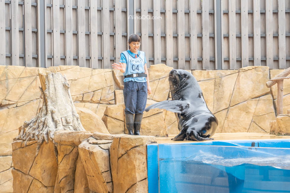 【桃園景點】XPARK水族館/13展區導覽/購票優惠/表演時間全攻略 @Alina 愛琳娜