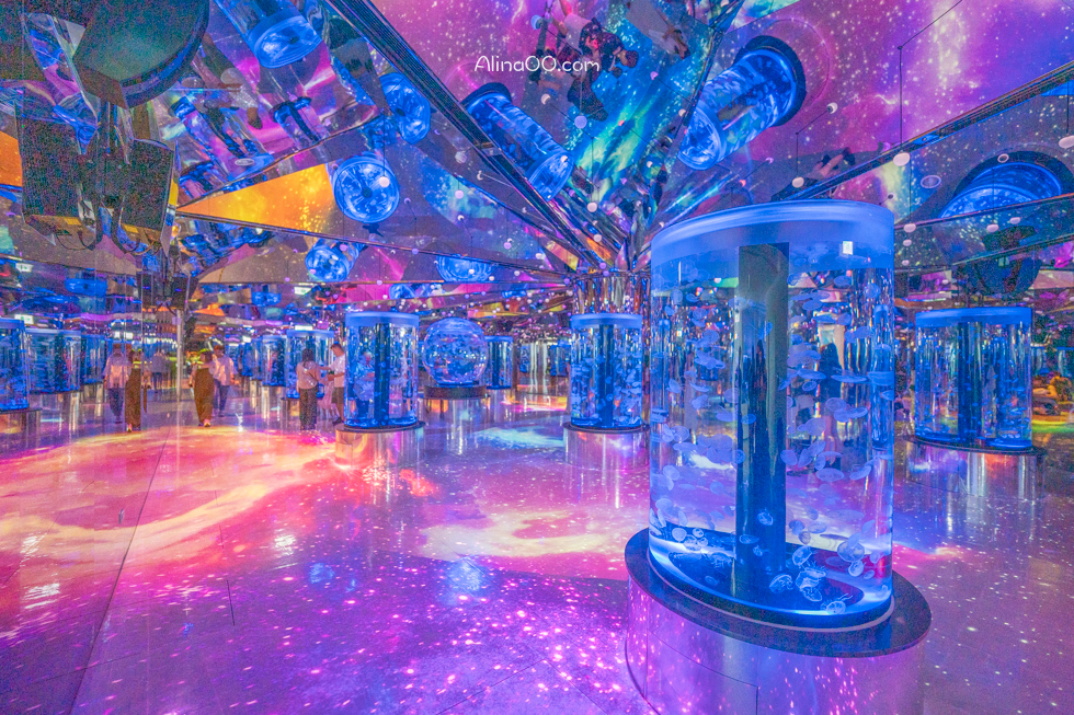 【桃園景點】XPARK水族館/13展區導覽/購票優惠/表演時間全攻略 @Alina 愛琳娜