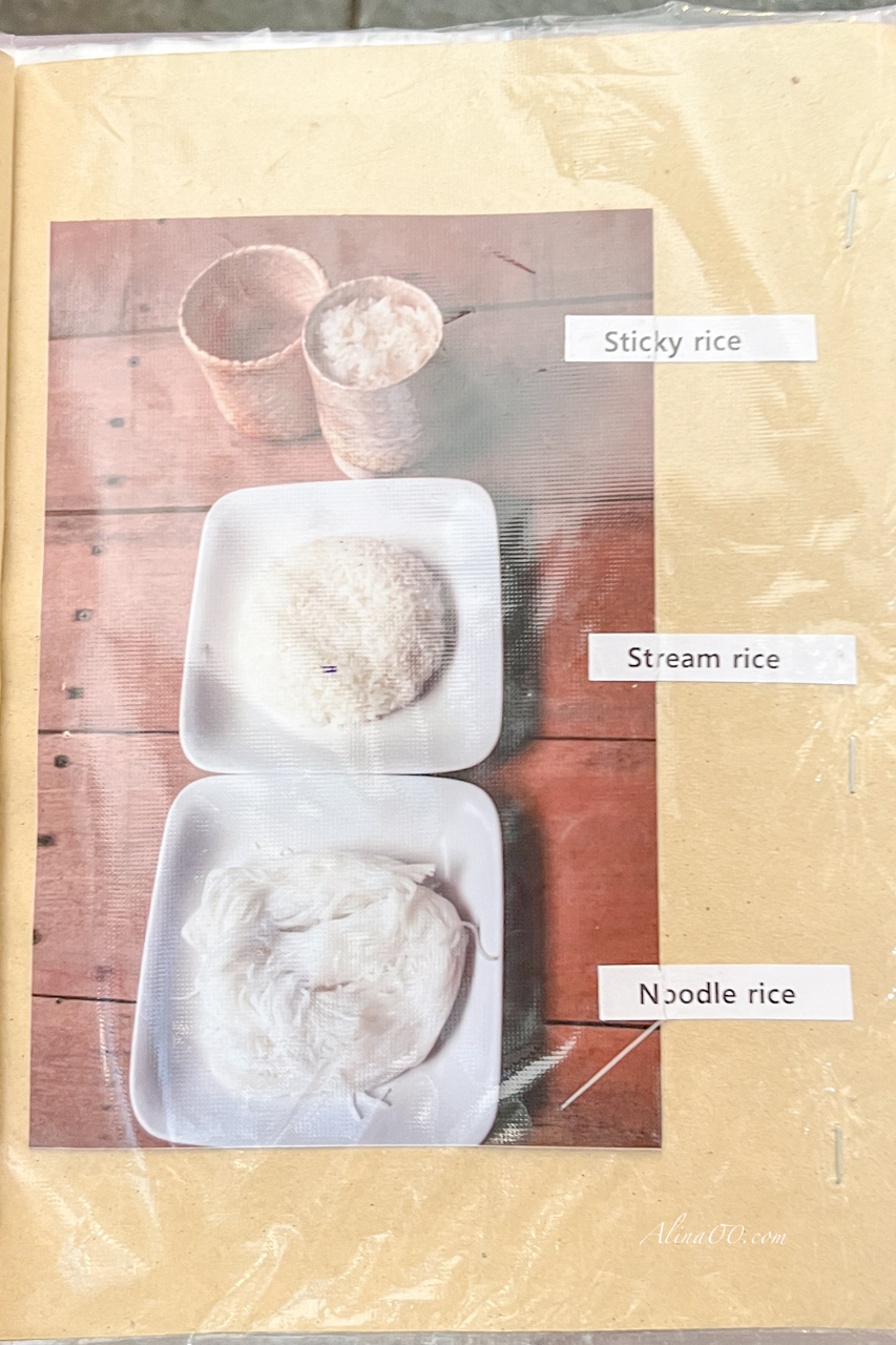 【清邁美食】清邁山林烤雞/米其林指南推薦泰北碳烤雞 @Alina 愛琳娜