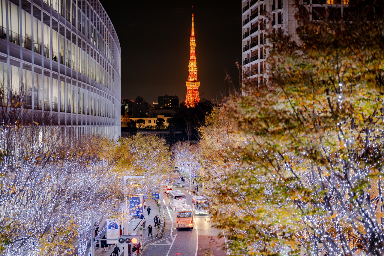 2025東京六本木聖誕點燈｜夜景照片最佳拍攝位置推薦 @Alina 愛琳娜