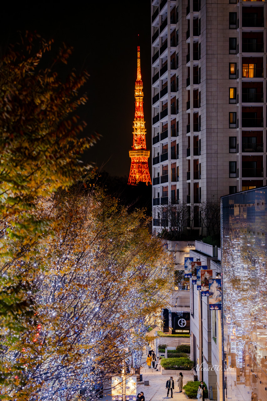 2025東京六本木聖誕點燈｜夜景照片最佳拍攝位置推薦 @Alina 愛琳娜