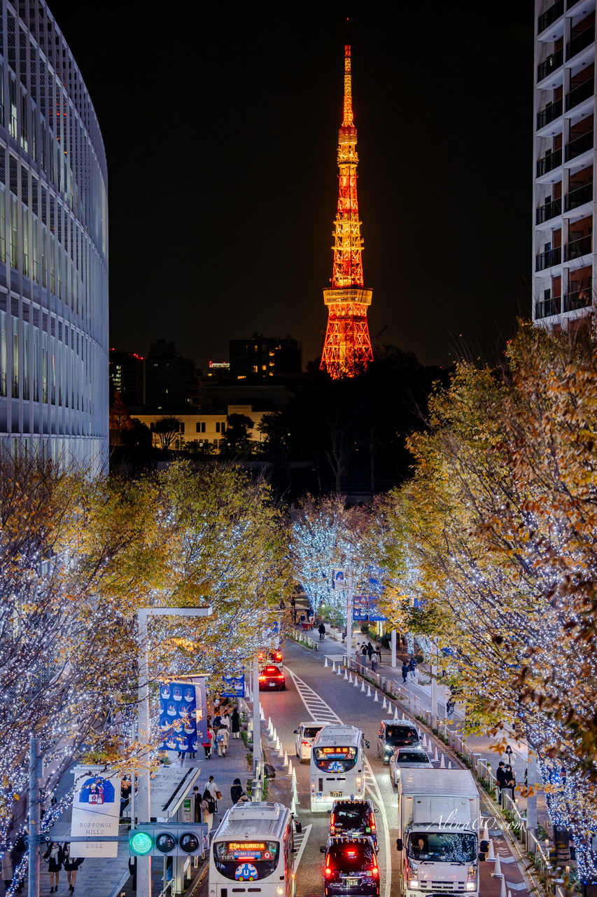 2025東京六本木聖誕點燈｜夜景照片最佳拍攝位置推薦 @Alina 愛琳娜
