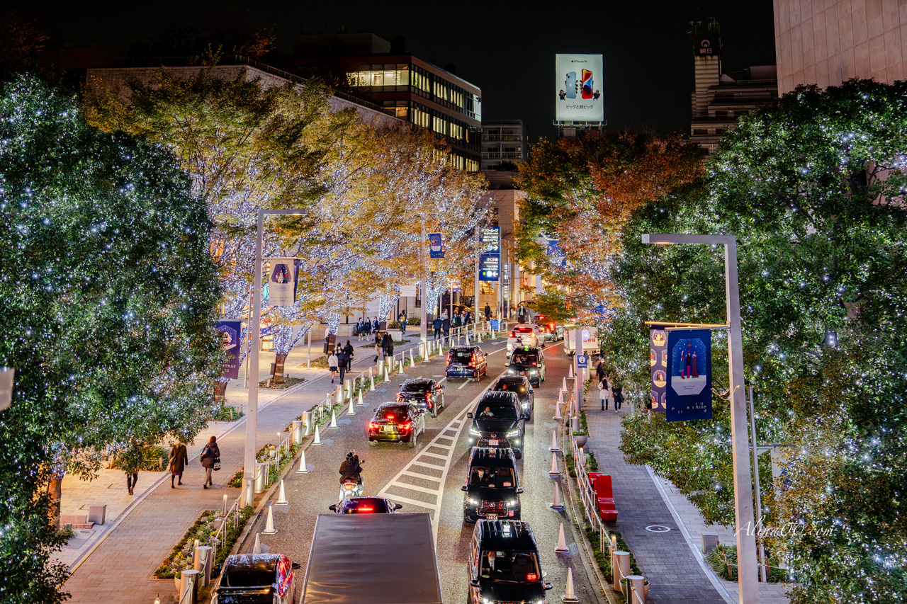 2025東京六本木聖誕點燈｜夜景照片最佳拍攝位置推薦 @Alina 愛琳娜