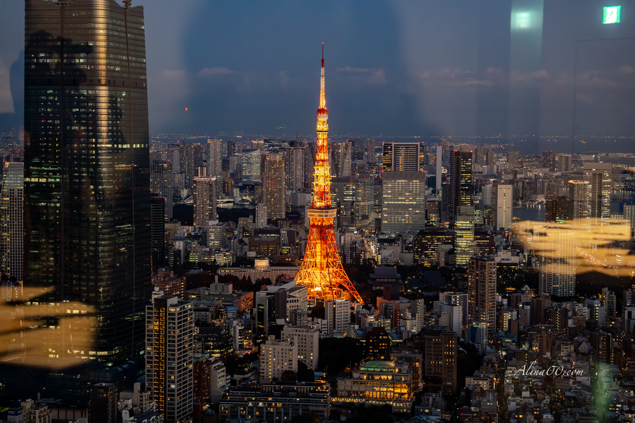 六本木之丘新城展望台｜眺望日本百萬夜景東京鐵塔 @Alina 愛琳娜