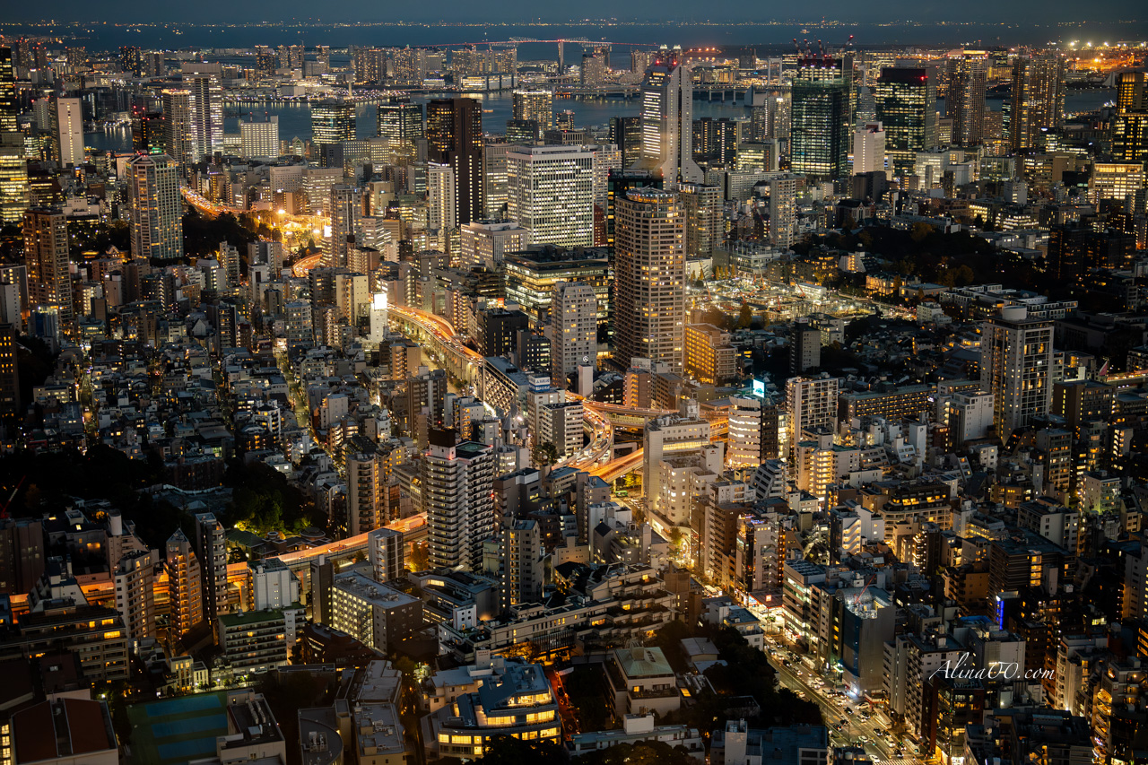 六本木之丘新城展望台｜眺望日本百萬夜景東京鐵塔 @Alina 愛琳娜
