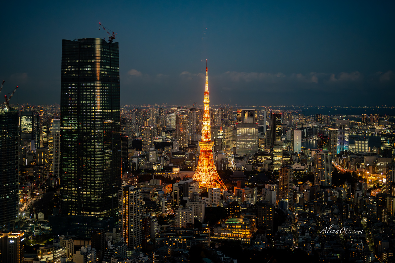 六本木之丘新城展望台｜眺望日本百萬夜景東京鐵塔 @Alina 愛琳娜