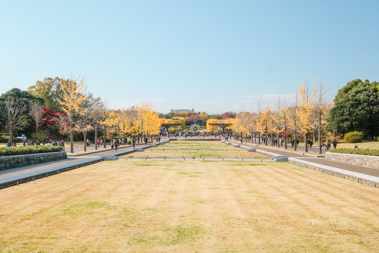 東京國營昭和紀念公園|金黃銀杏大道秋天必拍,附交通及門票資訊 @Alina 愛琳娜 東京國營昭和紀念公園|金黃銀杏大道秋天必拍,附交通及門票資訊 @Alina 愛琳娜