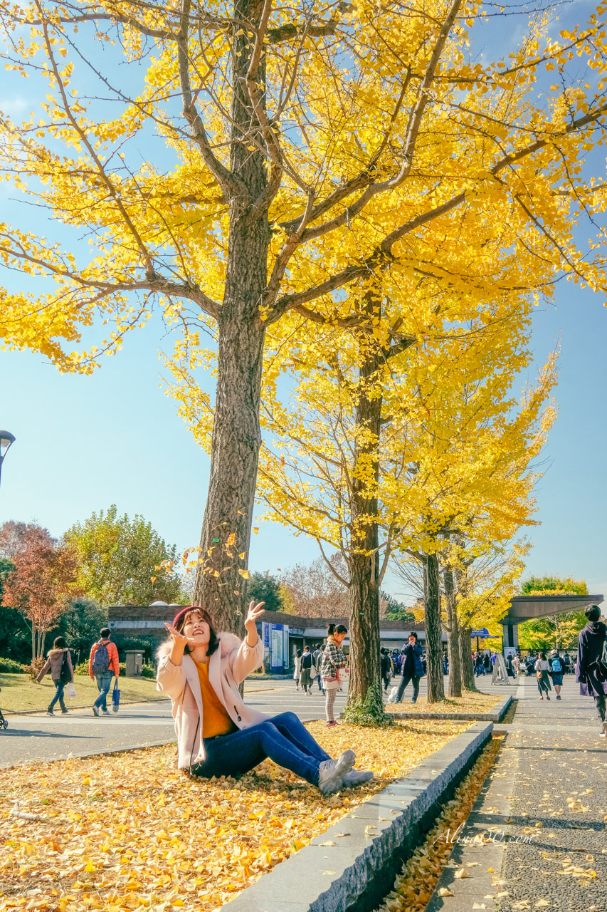 東京國營昭和紀念公園｜金黃銀杏大道秋天必拍，附交通及門票資訊 @Alina 愛琳娜