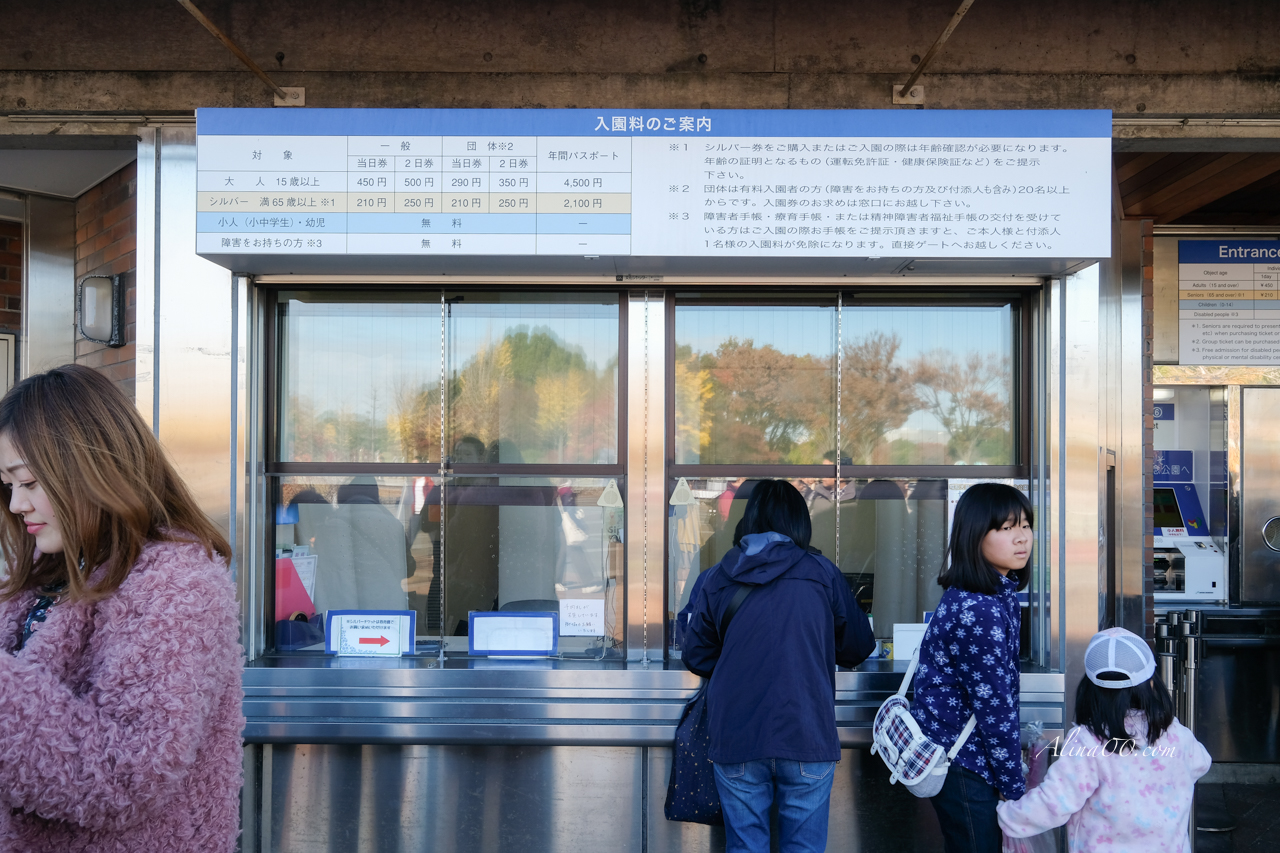 東京國營昭和紀念公園｜金黃銀杏大道秋天必拍，附交通及門票資訊 @Alina 愛琳娜