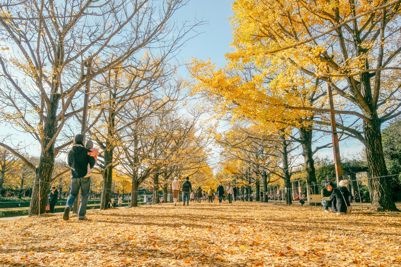 東京國營昭和紀念公園|金黃銀杏大道秋天必拍,附交通及門票資訊 @Alina 愛琳娜 東京國營昭和紀念公園|金黃銀杏大道秋天必拍,附交通及門票資訊 @Alina 愛琳娜