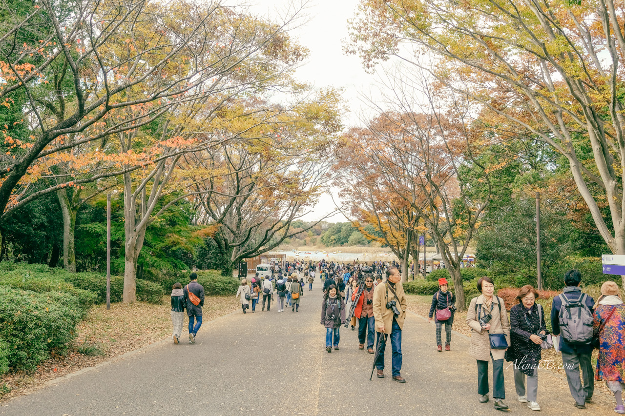 東京國營昭和紀念公園｜金黃銀杏大道秋天必拍，附交通及門票資訊 @Alina 愛琳娜