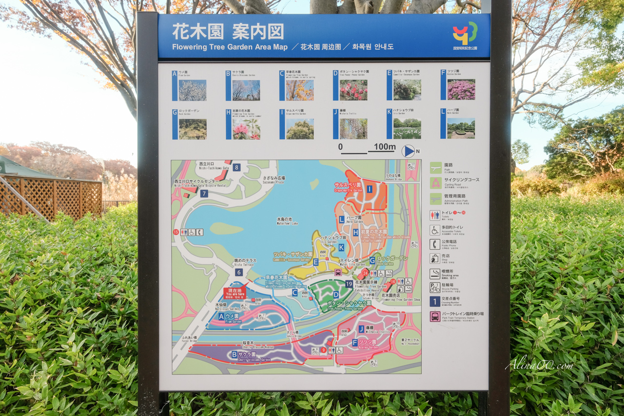 東京國營昭和紀念公園|金黃銀杏大道秋天必拍,附交通及門票資訊 @Alina 愛琳娜 東京國營昭和紀念公園|金黃銀杏大道秋天必拍,附交通及門票資訊 @Alina 愛琳娜