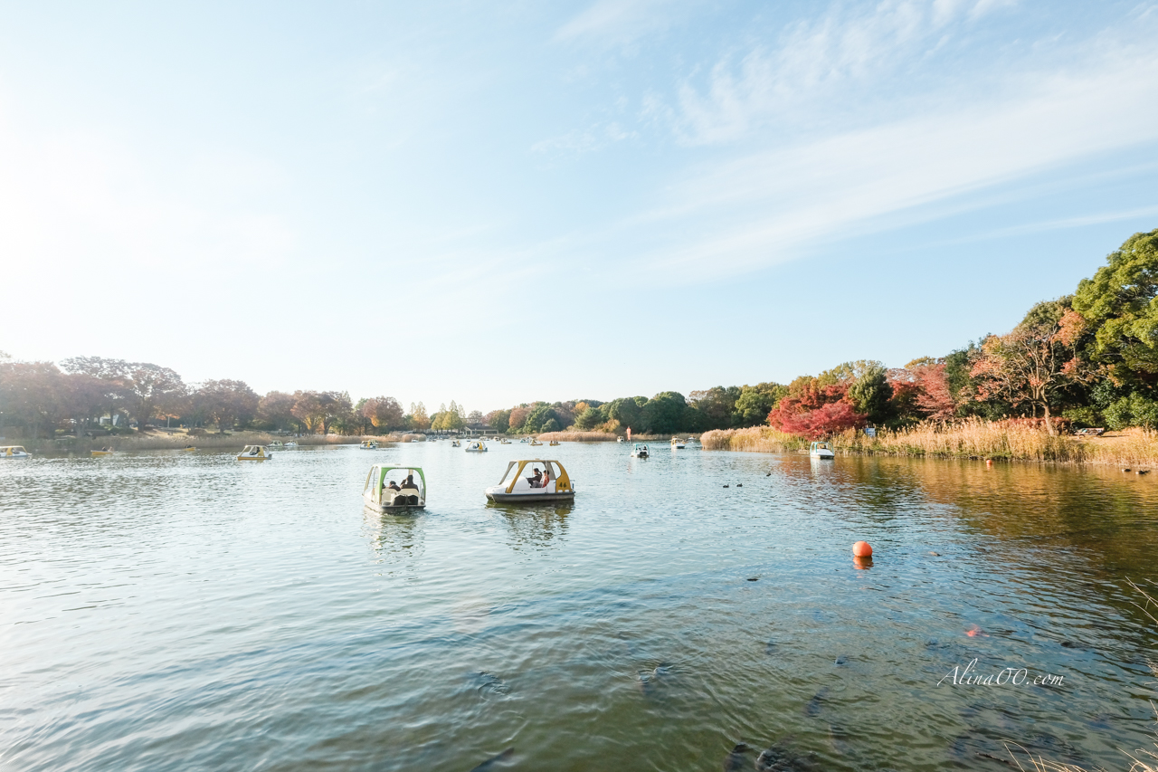 東京國營昭和紀念公園|金黃銀杏大道秋天必拍,附交通及門票資訊 @Alina 愛琳娜 東京國營昭和紀念公園|金黃銀杏大道秋天必拍,附交通及門票資訊 @Alina 愛琳娜