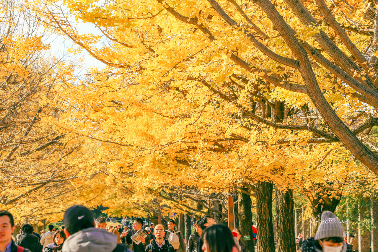 東京國營昭和紀念公園|金黃銀杏大道秋天必拍,附交通及門票資訊 @Alina 愛琳娜 東京國營昭和紀念公園|金黃銀杏大道秋天必拍,附交通及門票資訊 @Alina 愛琳娜
