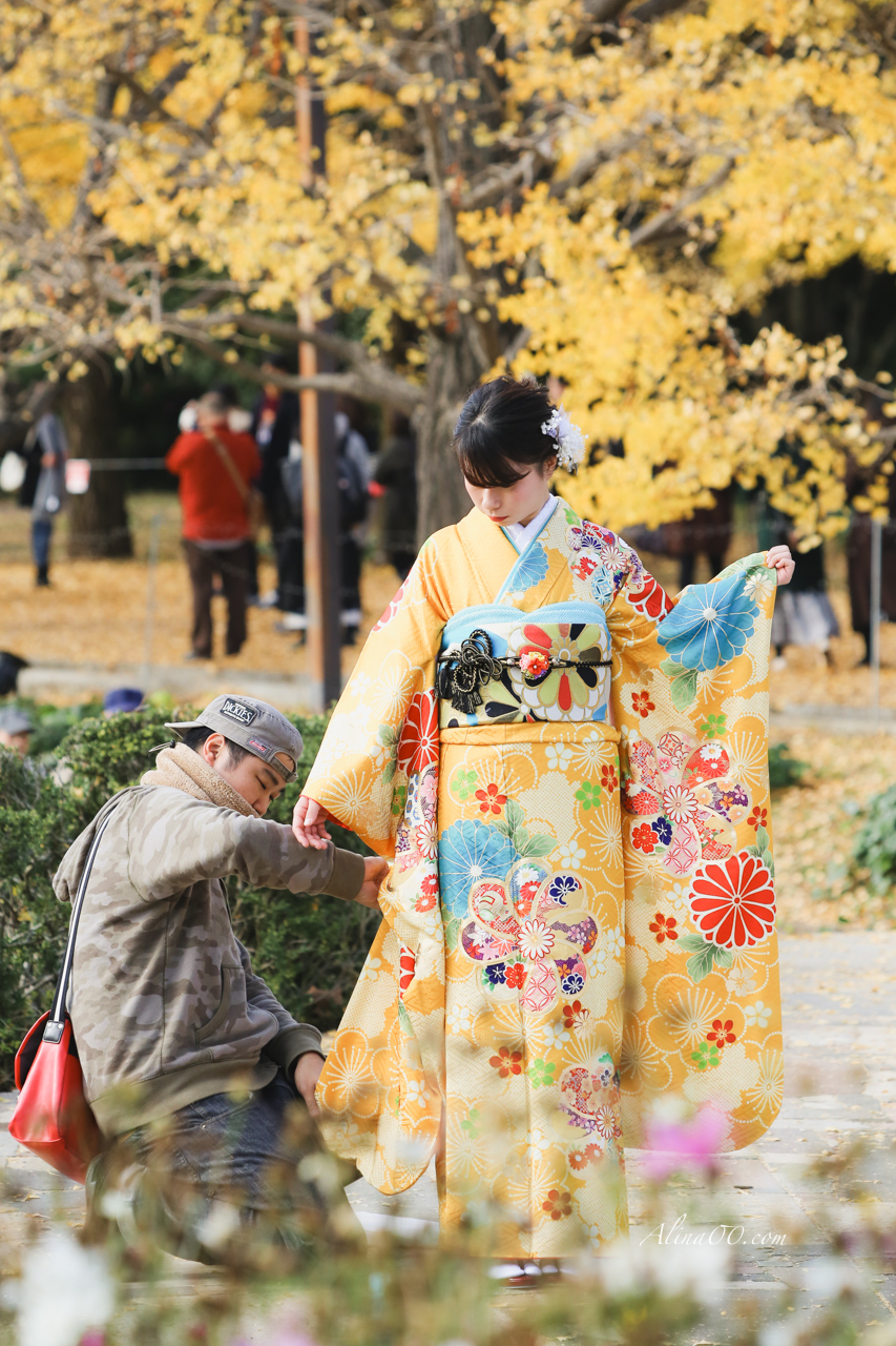 東京國營昭和紀念公園|金黃銀杏大道秋天必拍,附交通及門票資訊 @Alina 愛琳娜 東京國營昭和紀念公園|金黃銀杏大道秋天必拍,附交通及門票資訊 @Alina 愛琳娜