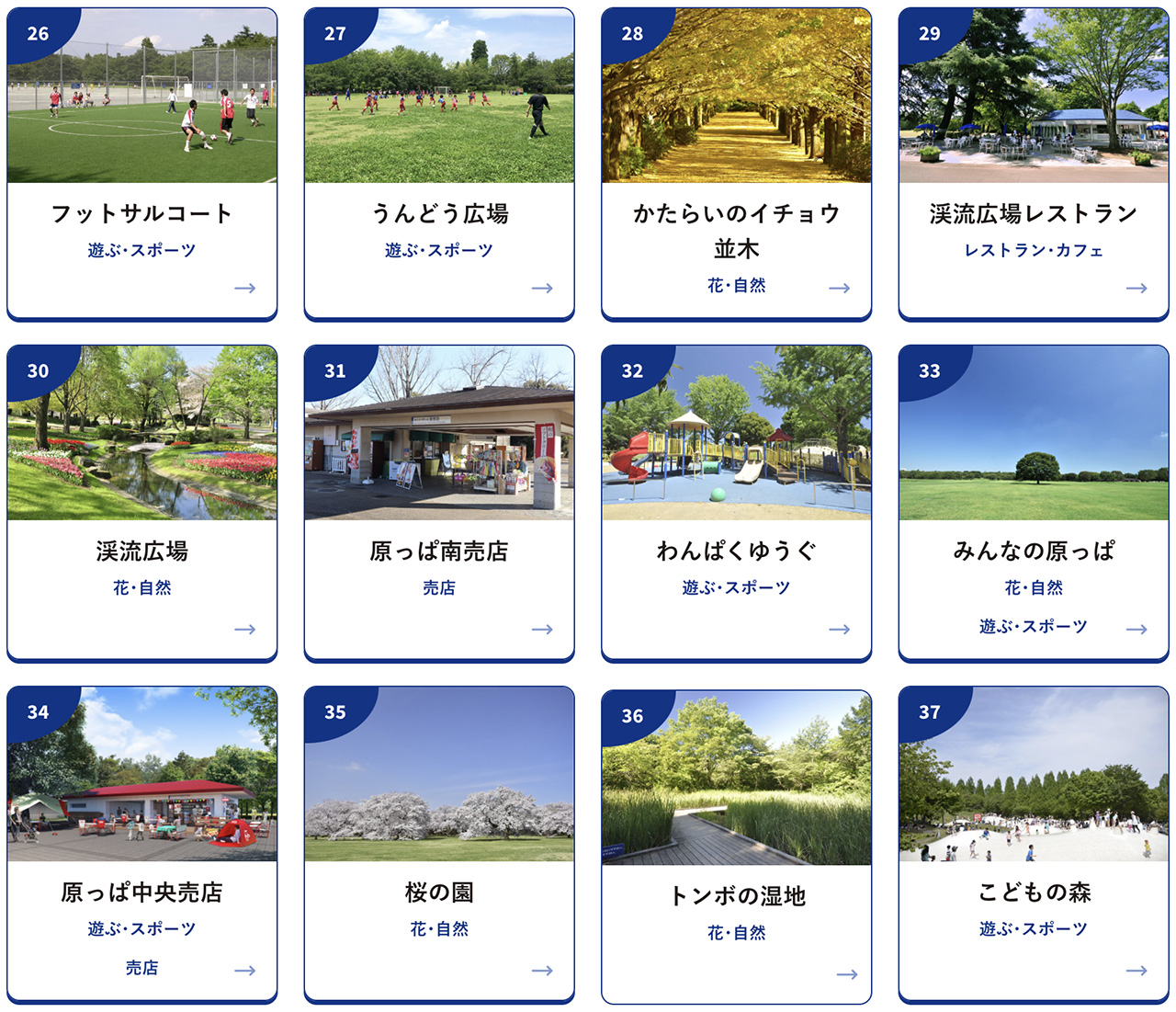 東京國營昭和紀念公園｜金黃銀杏大道秋天必拍，附交通及門票資訊 @Alina 愛琳娜