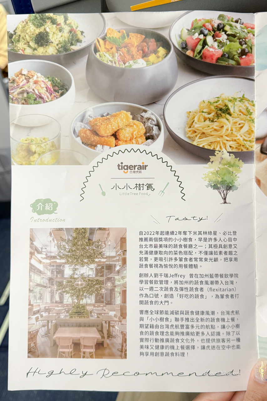 台灣虎航直飛釜山|機票航班時刻表,設備升級更舒適 @Alina 愛琳娜 台灣虎航直飛釜山|機票航班時刻表,設備升級更舒適 @Alina 愛琳娜