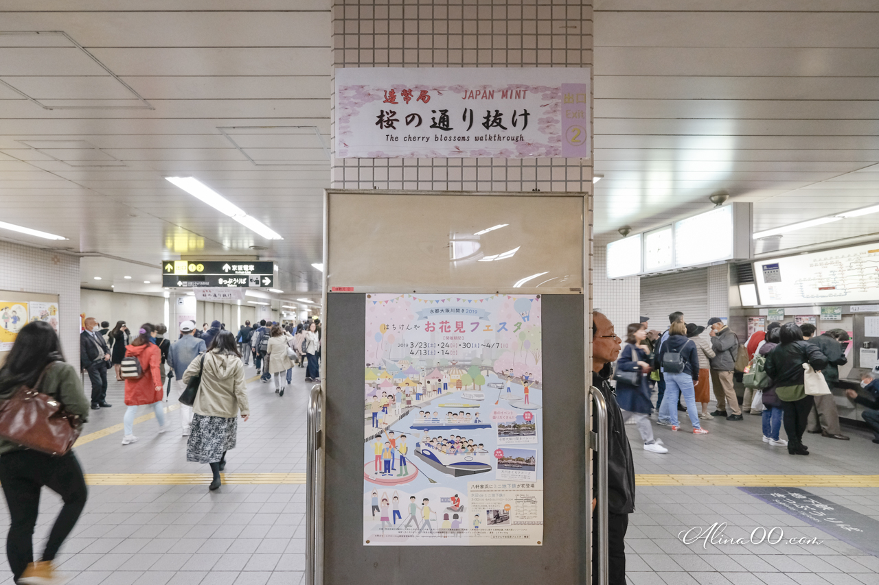 大阪造幣局櫻花大道 預約制|關西賞櫻必去景點,櫻花品種超多 @Alina 愛琳娜 大阪造幣局櫻花大道 預約制|關西賞櫻必去景點,櫻花品種超多 @Alina 愛琳娜