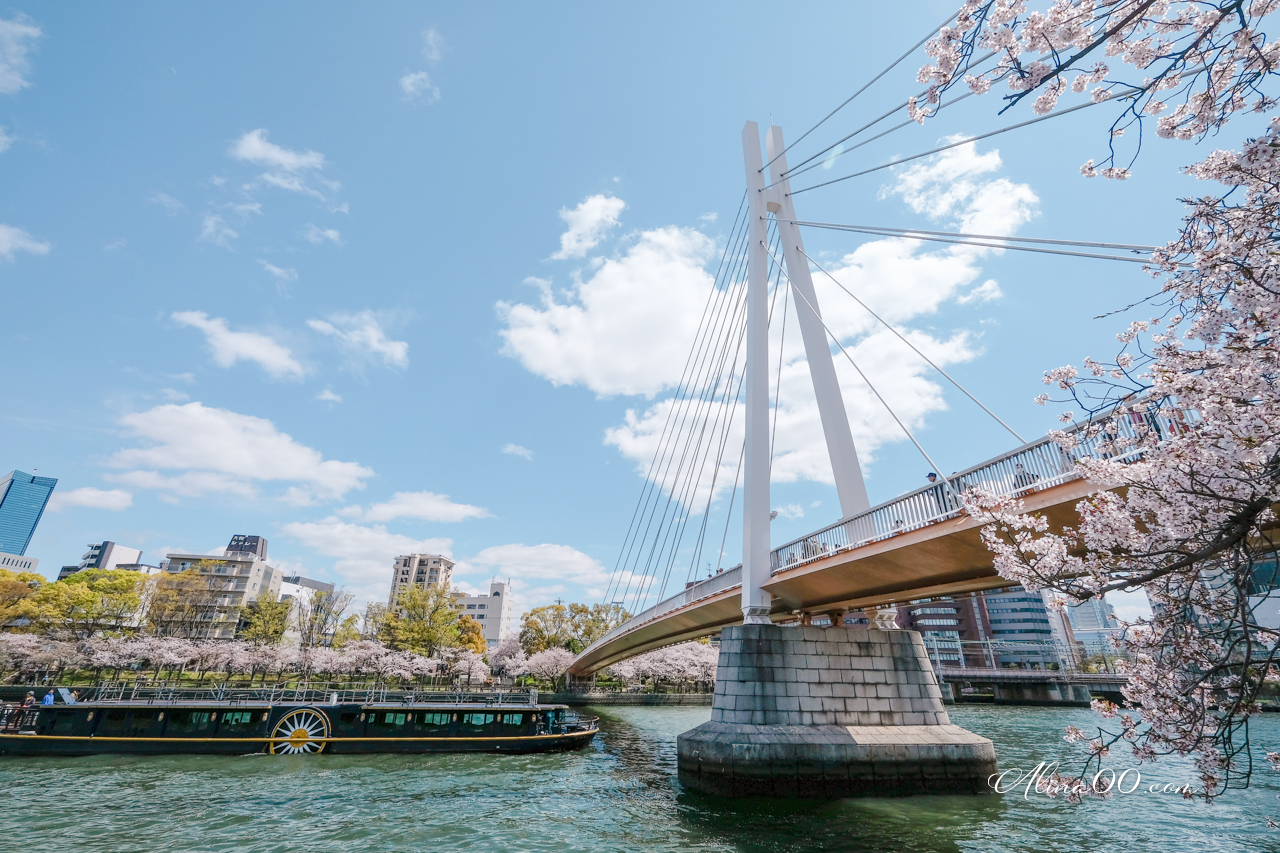 大阪造幣局櫻花大道 預約制|關西賞櫻必去景點,櫻花品種超多 @Alina 愛琳娜 大阪造幣局櫻花大道 預約制|關西賞櫻必去景點,櫻花品種超多 @Alina 愛琳娜