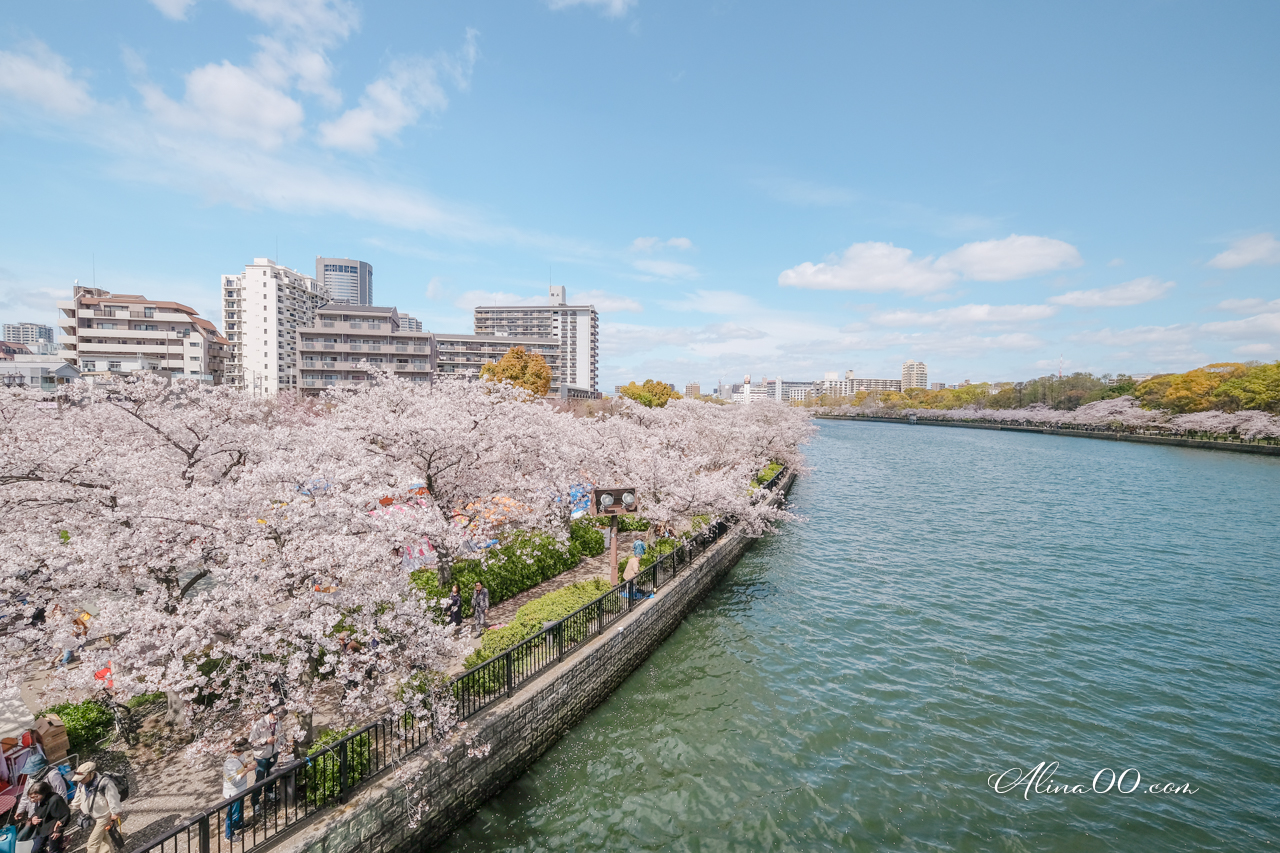 大阪造幣局櫻花大道 預約制｜關西賞櫻必去景點，櫻花品種超多 @Alina 愛琳娜