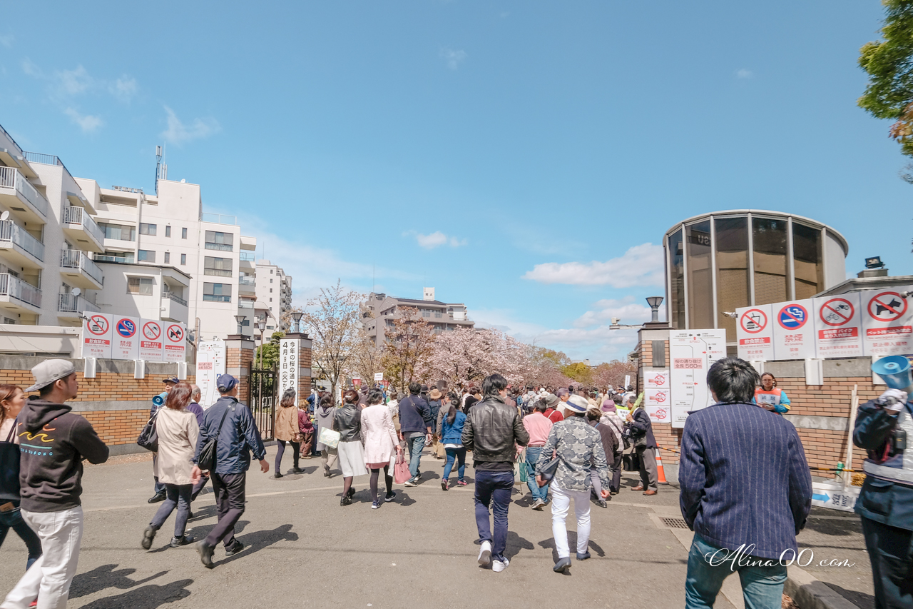 大阪造幣局櫻花大道 預約制|關西賞櫻必去景點,櫻花品種超多 @Alina 愛琳娜 大阪造幣局櫻花大道 預約制|關西賞櫻必去景點,櫻花品種超多 @Alina 愛琳娜