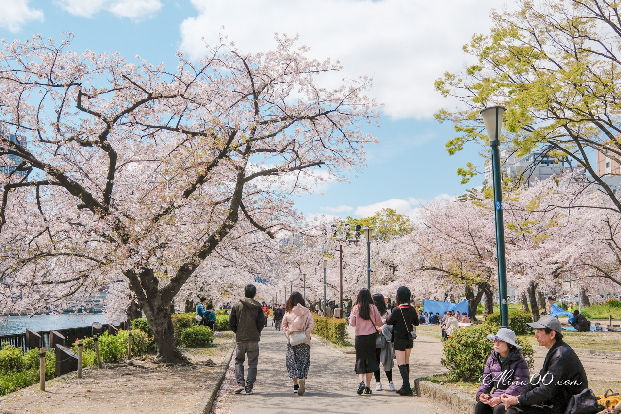 大阪造幣局櫻花大道 預約制|關西賞櫻必去景點,櫻花品種超多 @Alina 愛琳娜 大阪造幣局櫻花大道 預約制|關西賞櫻必去景點,櫻花品種超多 @Alina 愛琳娜