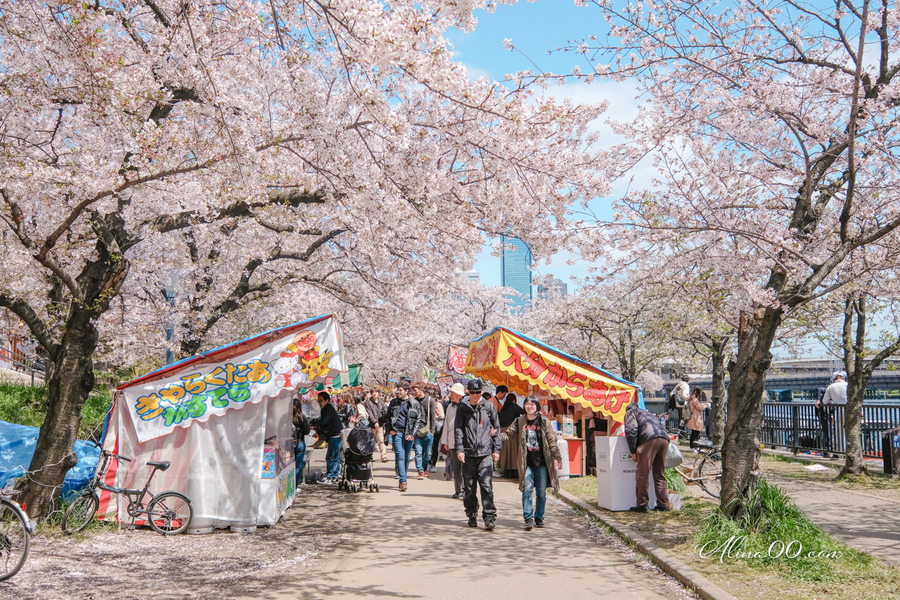 大阪造幣局櫻花大道 預約制|關西賞櫻必去景點,櫻花品種超多 @Alina 愛琳娜 大阪造幣局櫻花大道 預約制|關西賞櫻必去景點,櫻花品種超多 @Alina 愛琳娜