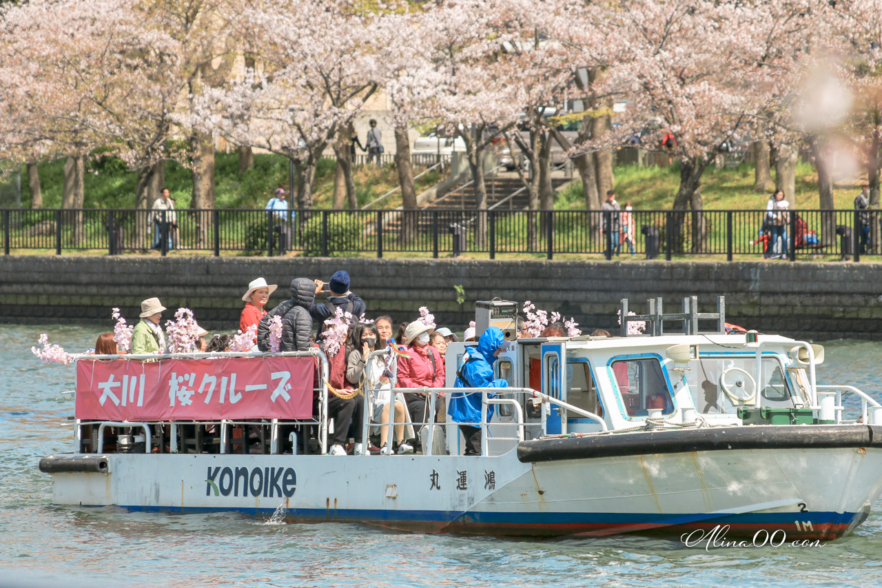 大阪造幣局櫻花大道 預約制｜關西賞櫻必去景點，櫻花品種超多 @Alina 愛琳娜