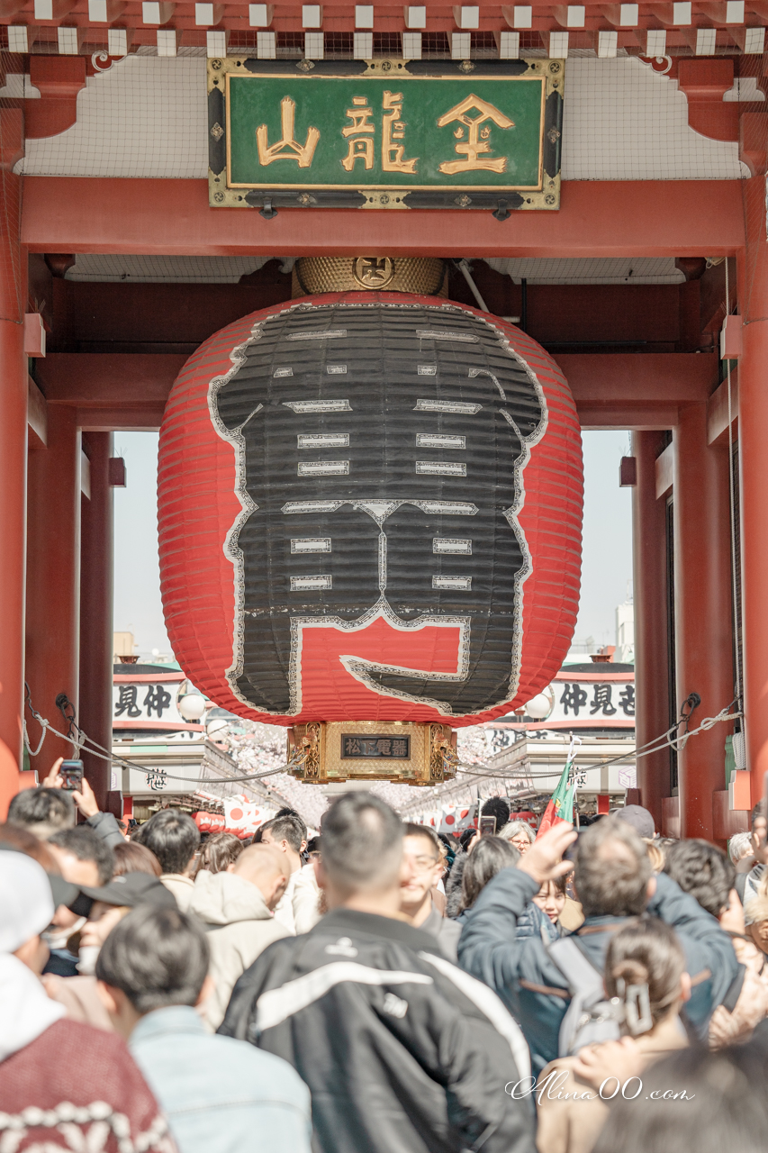 東京淺草文化觀光中心|8樓免費觀景台看淺草寺+晴空塔 @Alina 愛琳娜 東京淺草文化觀光中心|8樓免費觀景台看淺草寺+晴空塔 @Alina 愛琳娜