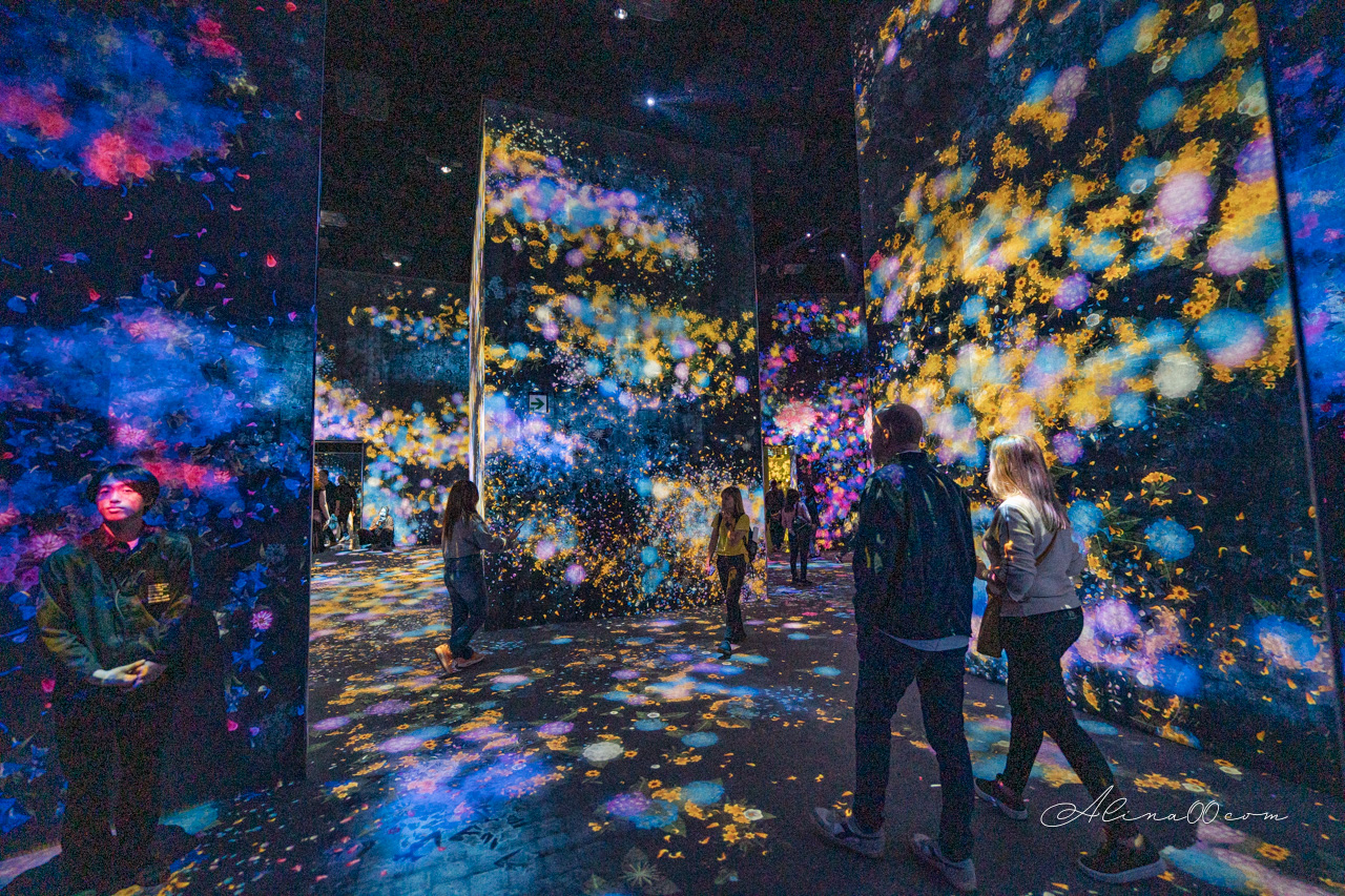 teamLab Borderless 無界|東京麻布台之丘數位藝術美術館 @Alina 愛琳娜 teamLab Borderless 無界|東京麻布台之丘數位藝術美術館 @Alina 愛琳娜