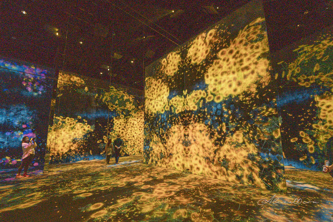 teamLab Borderless 無界|東京麻布台之丘數位藝術美術館 @Alina 愛琳娜 teamLab Borderless 無界|東京麻布台之丘數位藝術美術館 @Alina 愛琳娜
