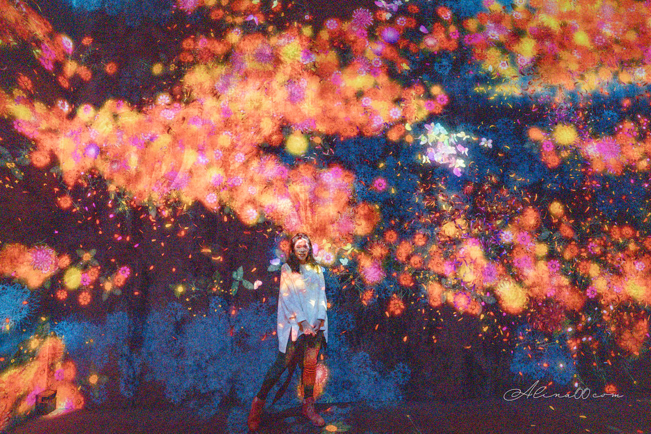 teamLab&nbsp;Borderless 無界｜東京麻布台之丘數位藝術美術館 @Alina 愛琳娜