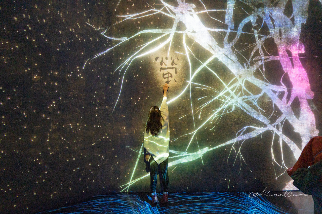 teamLab&nbsp;Borderless 無界｜東京麻布台之丘數位藝術美術館 @Alina 愛琳娜