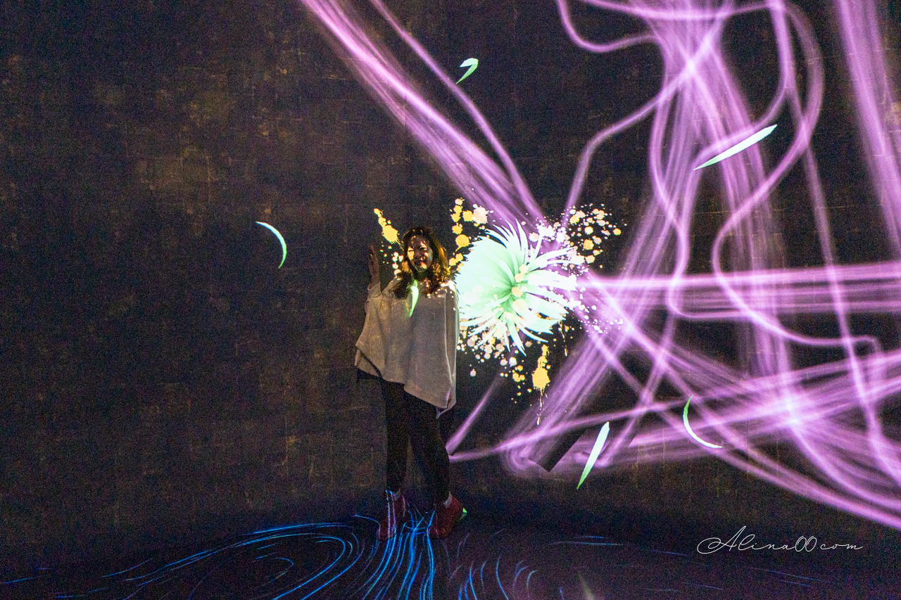 teamLab Borderless 無界|東京麻布台之丘數位藝術美術館 @Alina 愛琳娜 teamLab Borderless 無界|東京麻布台之丘數位藝術美術館 @Alina 愛琳娜