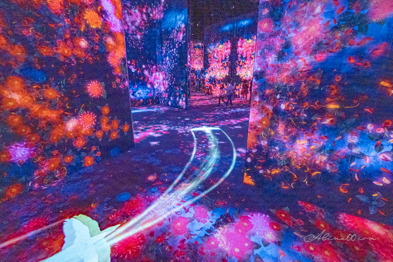 teamLab Borderless 無界|東京麻布台之丘數位藝術美術館 @Alina 愛琳娜 teamLab Borderless 無界|東京麻布台之丘數位藝術美術館 @Alina 愛琳娜