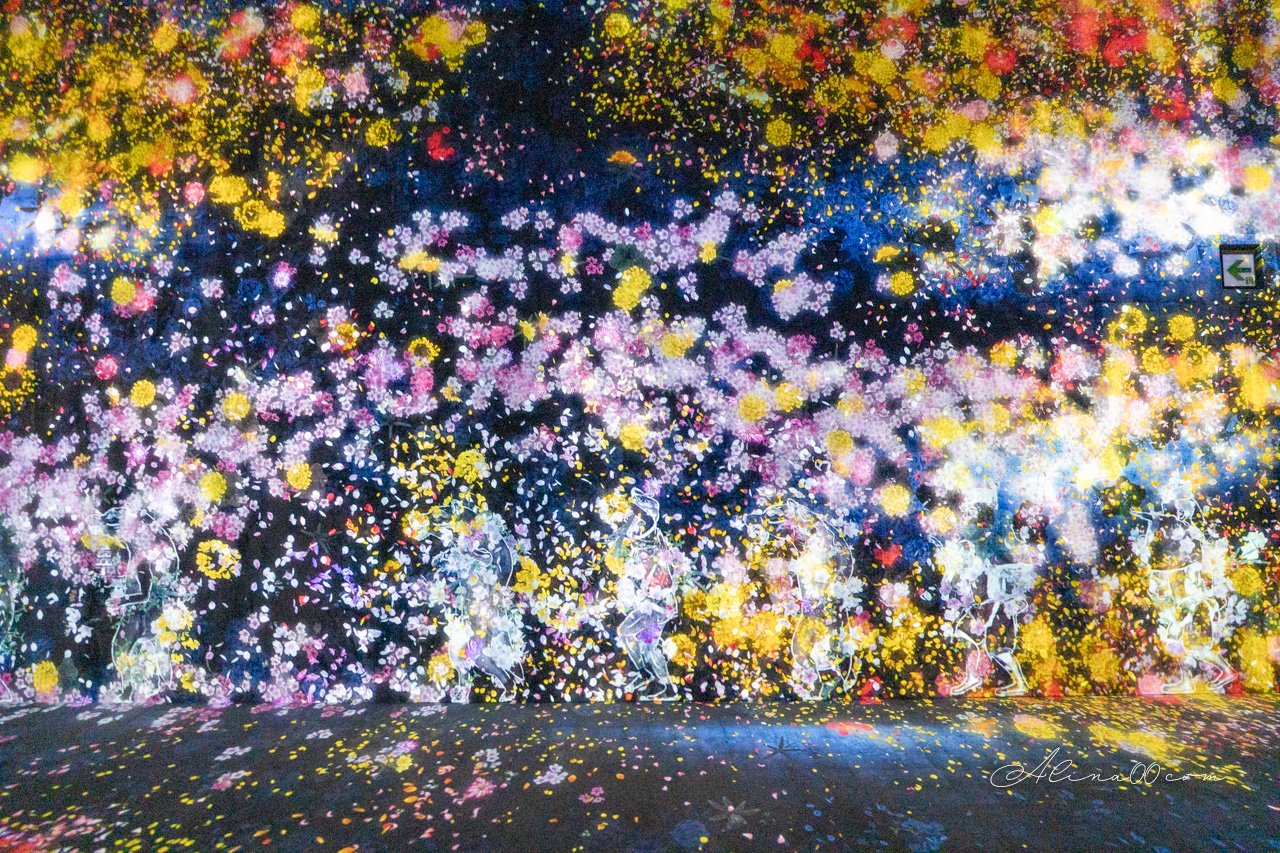 teamLab Borderless 無界|東京麻布台之丘數位藝術美術館 @Alina 愛琳娜 teamLab Borderless 無界|東京麻布台之丘數位藝術美術館 @Alina 愛琳娜